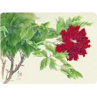 La collection Red Oriental Floral - Pimpernel