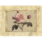 La collection Rose Fragment - Pimpernel