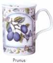 Chope Droite 32cl - Prunus