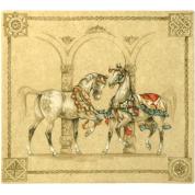 Coffret de 1 Coupe  carr�e - 29.5 x 26.5cm