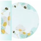 La collection Ravissement - Philippe Deshoulières