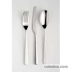 Couteau de table Monobloc