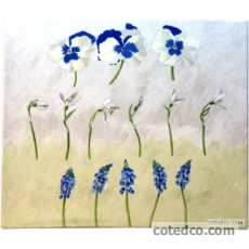 Coffret de 1 coupe carr�e - 29,5x26,5 cm