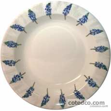 Coffret de 1 plat rond creux n� 4 - diam. 31 cm