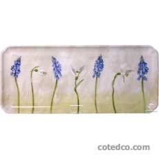 Coffret de 1 plat � cake - 35,6x15,3 cm