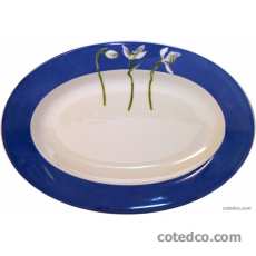 Coffret de 1 ravier - 23,3x16,2 cm