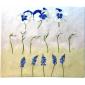 Coffret de 1 coupe carr�e - 29,5x26,5 cm