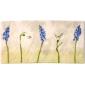 Coffret de 1 vide-poches - 19,3x10 cm