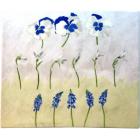 Coffret de 1 coupe carr�e - 29,5x26,5 cm