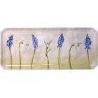 Coffret de 1 plat � cake - 35,6x15,3 cm