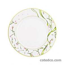 Assiette gastronomique - 28 cm