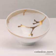 Bol Kyoto PM