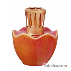 Carambole - 3899