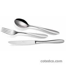 M�nag�re 50 pi�ces ( salade )   + ecrin