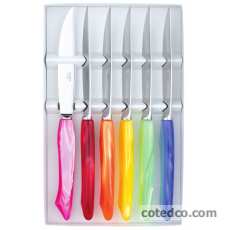Coffret 6 couteaux grillade multicolore