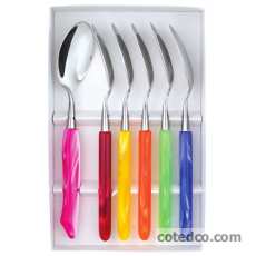 Coffret 6 Cuill�res de table multicolore