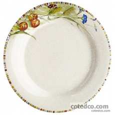 Coffret de 6 Assiettes plates extra - diam. 27,4 cm