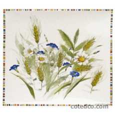 Coffret de 1 coupe carr�e - 29,5x26,5 cm