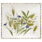 Coffret de 1 coupe carr�e - 29,5x26,5 cm