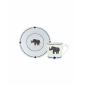 Paire Tasse expresso - 7 cl