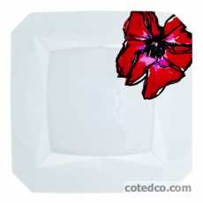 Assiette dessert carr�e 21.5x21.5cm