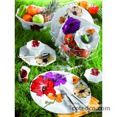 P-Tasse Th� 22cl