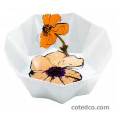 Bol salade 60cl