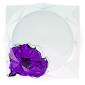 Assiette plate carr�e 23x23cm