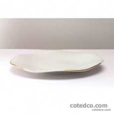 Assiette plate