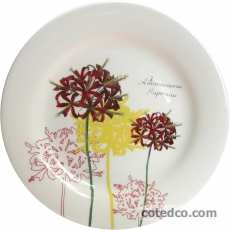 Coffret de 4 Assiettes canap�s Assorties - diam. 16,5 cm