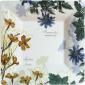 Coffret de 1 Cendrier carr� G.M  17 x 17 cm
