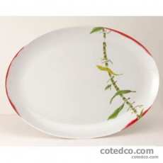 Plat ovale