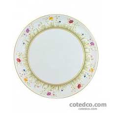 Plat � tarte diam 31.5cm