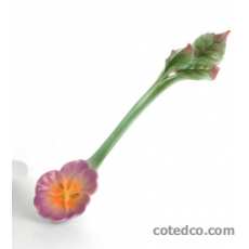 Cuill�re lg : 13cm Pansy