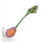 Cuill�re lg : 13cm Pansy
