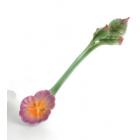 Cuill�re lg : 13cm Pansy