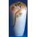 Vase ht : 34cm