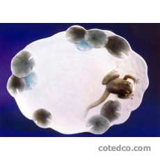 Plat 33.3 x 27cm