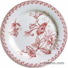 Coffret de 6 Assiettes plates extra - diam. 27.4 cm