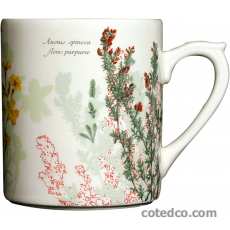 Coffret de 1 Mug