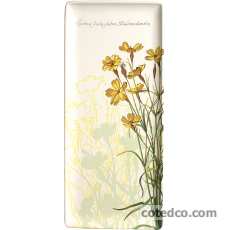 Coffret de 1 Plat � cake - 15.3 x 36.5cm