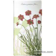 Coffret de 1 Vide Poche Rectangulaire PM 10 x 19.5 cm