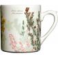 Coffret de 1 Mug