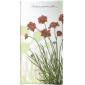 Coffret de 1 Vide Poche Rectangulaire PM 10 x 19.5 cm