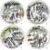 Coffret de 4 Assiettes canap�s Quartier de Paris - diam. 16,5 cm