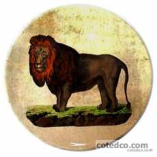 Coffret de 1 plat � dessert Lion - diam. 30 cm