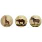 Coffret de 6 Assiettes dessert assorties - diam. 21,8 cm
