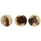 Coffret de 6 Assiettes canap�s assorties - diam. 16,5 cm