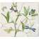 Coffret de 1 coupe carr�e  - 29,5x26,5 cm