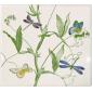 Coffret de 1 coupe carr�e  - 29,5x26,5 cm